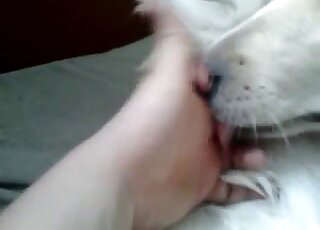 Closeup fisting and passionate fingering with a sexy white beast
