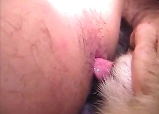 Sexy animal fucking a zoophile booty in a doggystyle position brutally