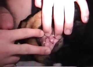 Sexy guy fingering this dog's hot vagina on the floor during foreplay