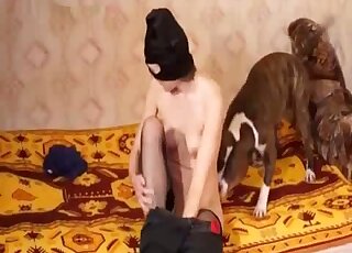 Pasty brunette in black stockings wants hardcore banging with a dog