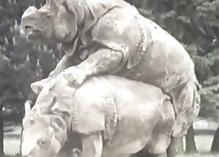 Outdoor bestiality madness featuring rhinos that want to fuck hard