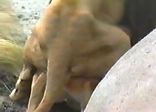 Lion porn movie featuring hot fucking on all fours and orgasms