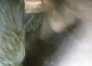 Closeup fuck with a guy that fucks tight animal holes in the dark