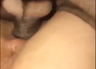 Amateur animal porn of black dog banging girl in missionary position