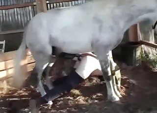 Horny guy got anal creampie from white horse and his giant shaft