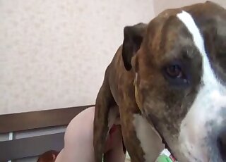 Russian redhead took Pit Bull warm cum up her pink twat