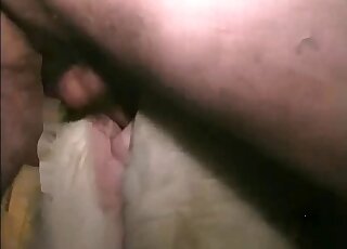 Horse gets licked and fingered by dude before banging