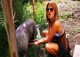 Slutty lady with shades adores jerking off and sucking pig cock