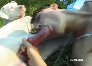 Hairy bitch enjoys outdoor zoo threesome with endowed dogs