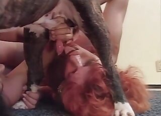 Mature harlots are feeding oral cravings by sucking off dog cock