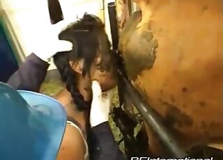 Zoo porn - Kinky Asian chick licks poo off cow's ass and pussy