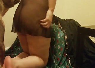 Amateur video of randy hound wanting to bang his mistress