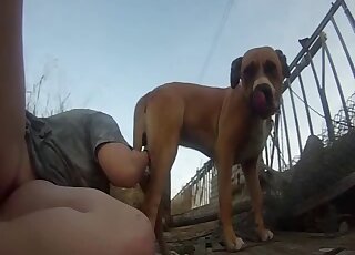 Dog is enjoying outdoor action that shows a chubby lady fucking hard