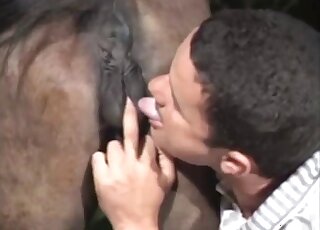 Mare pussy getting licked by a horny dude that wants to enter it too