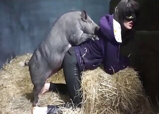 Pig grants farm girl perfect anal stimulation in the hey