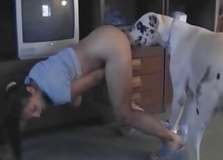 Pregnant amateur slut masturbates and sucks the dog's dick with passion