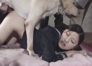 Asian teen moans with a big dog dick hammering her wet cunt