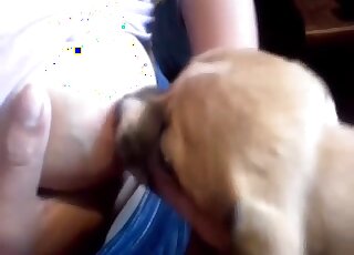 Busty amateur woman breast feed ssmall puppy feeling quite horny