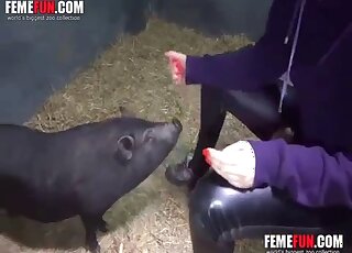European slut tries farm zoo porn with a pig and loves the outcome