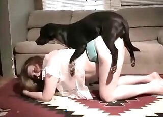 Black dog fucks chubby whore at home and gladly cums in her cunt