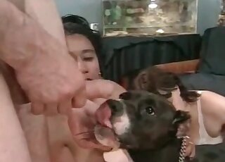 Clearly aroused couple fucking a dog's mouth in a taboo threesome