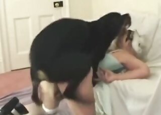 Black dog using its red cock to fuck a lady's wet pussy on all fours