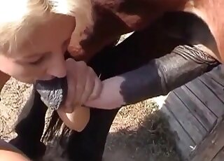 Short-haired blonde can’t get enough of horse’s sperm