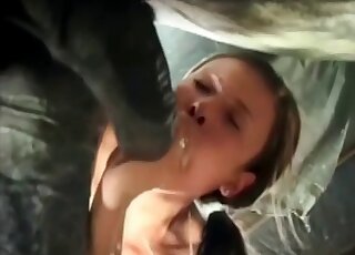 Hottie with small tits blows and rides a horse in a zoo sex vid