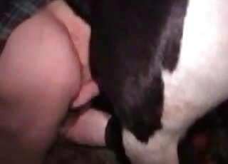 Mature slut with a tattooed butt craves for a stallion’s long dick