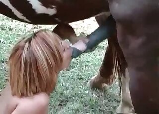 Cum-thirsty vixen gives a hot blowjob to a horse and swallows sperm