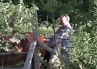 Dirty-minded pervert fucks a horse in a crazy XXX animal porn video
