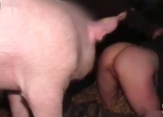 Curious mature whore yearns for a boar’s cock and gets enough of it