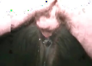 Pony gets fucked in his ass by a nasty zoophile guy in a zoo porn scene