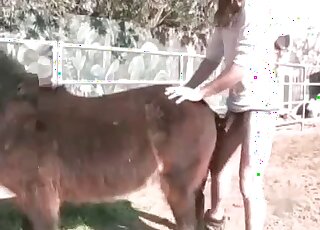 Naked couple tease a pony in a hot threesome zoo porn scene