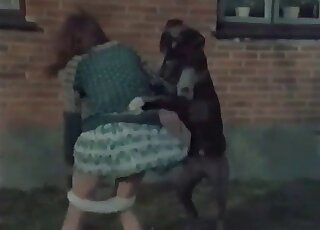 Strong dog fucks a hot wife outdoors without getting exhausted