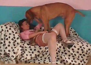 Mature hottie spreads thighs wide to let her dog’s pecker inside