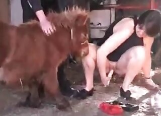 Animal sex obsessed wife comes to tease a pony and use his cock