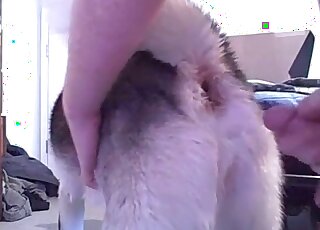 Nude fellow takes out his cock to stick it into his dog’s hole