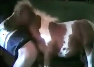 Nasty dude is eager to get fucked in the ass by a horny stallion