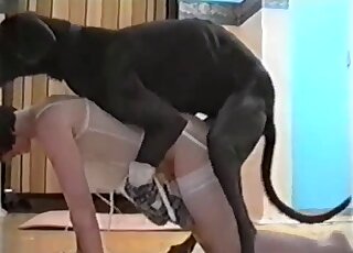 Just married brunette in white stockings fucks black dog on all fours