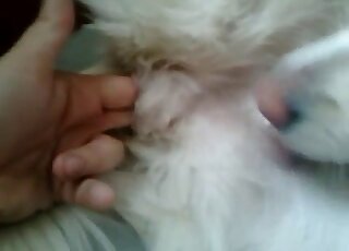 Fisting and fingering featured in a bestiality foreplay porn movie