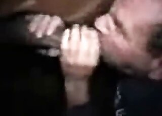 Bald zoophile licking all over the tip of this stallion's huge cock